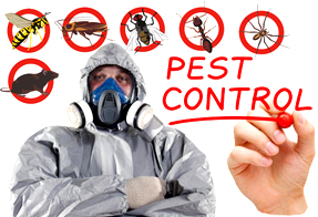 Prakriti Pest Control Service